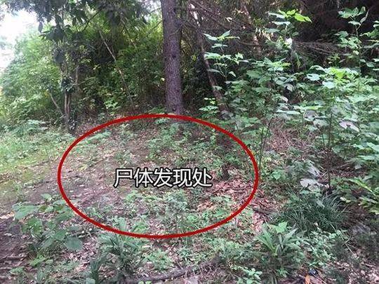 厦门哪里小巷子最好玩 _ 木质胶水,厦门现在的小巷子搬哪去了