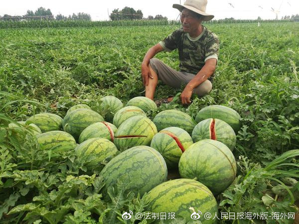 佛山三水河口小巷子在哪里,佛山市三水区河口属于哪个镇
