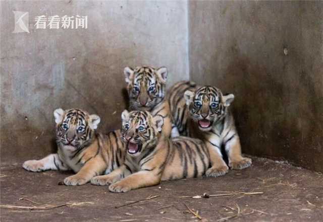 百花楼信息交流平台,百花楼信息交流平台怎么样