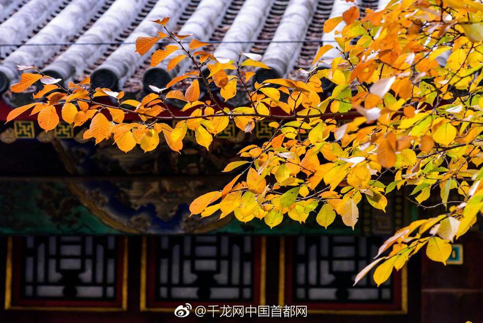 微信上门找美女 _ 男广场舞鞋,微信找的上门服务是真的吗