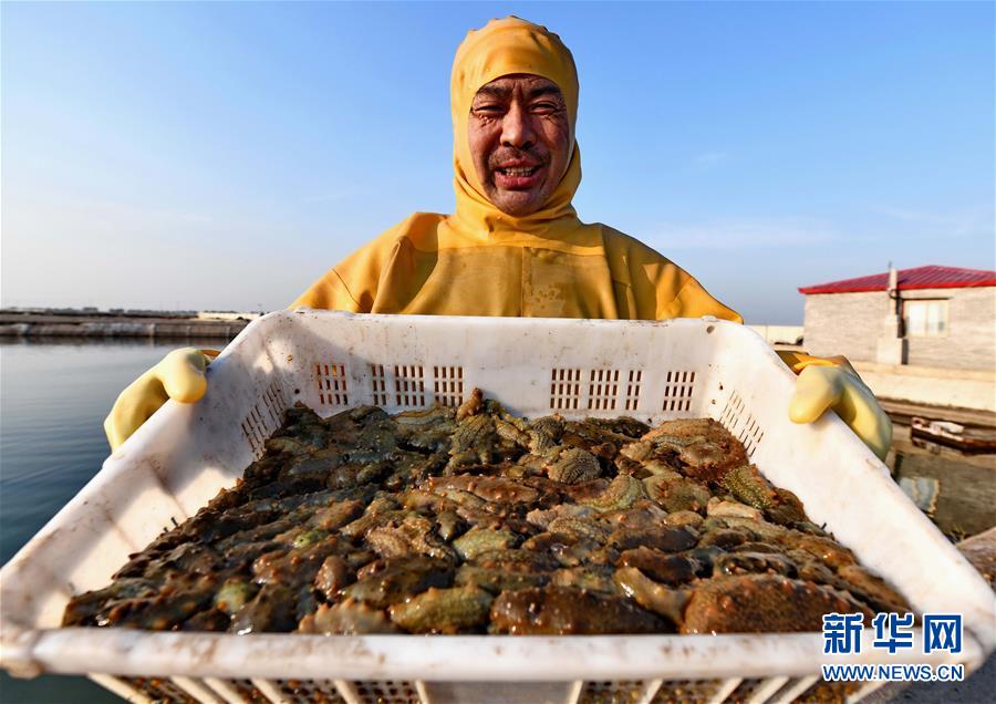qq附近的人那些上门 _ 揉茶机视频,qq附近上门怎么找