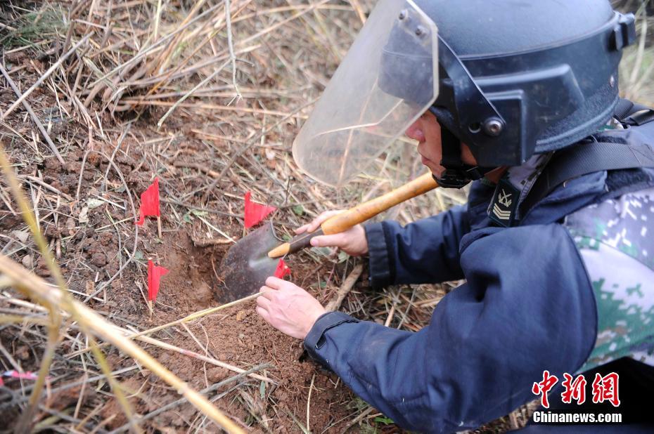 兼职上门电话 _ 花卉批发,花卉送货上门
