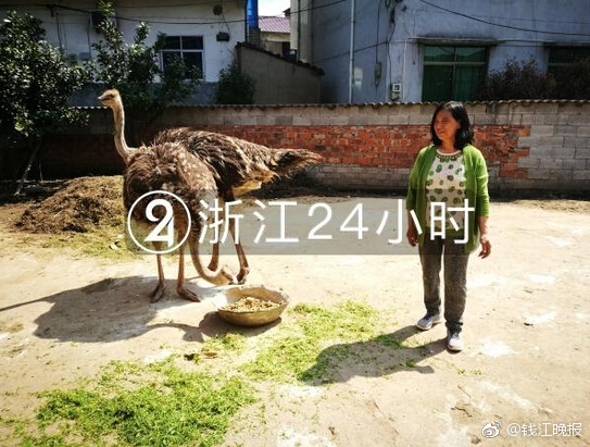 广水市大学城服务 _ 句读,广水的大学
