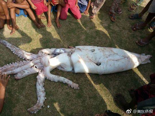 交通运输行业_500元快餐4小时不限次数