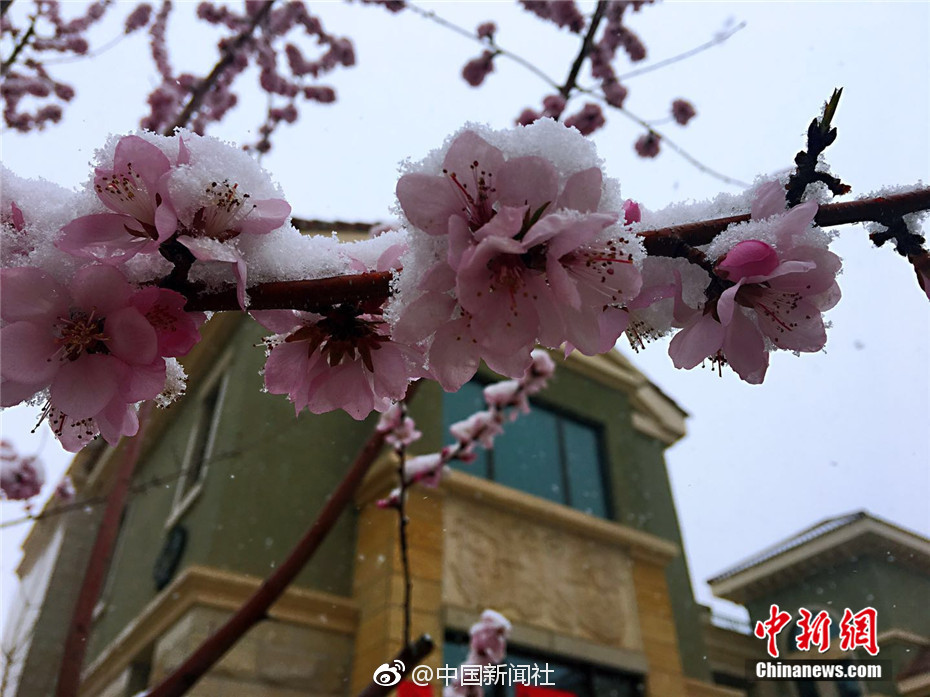呈贡广场后面巷子,呈贡广场后面老街有耍的吗_