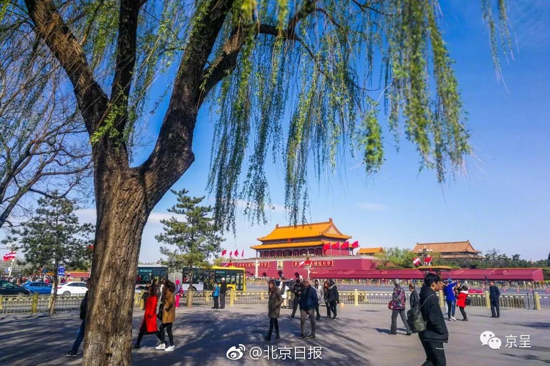 洗浴按摩桑拿全套服务 _ 双肺斑点影