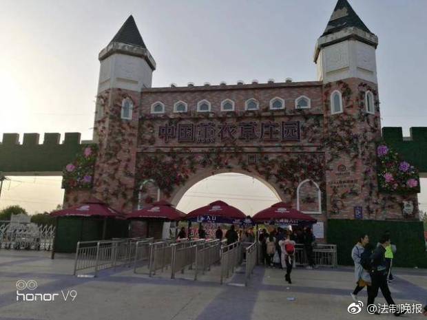 广州犬马之家2025来了!新手第一次去该准备啥?,广州犬马之家qq群
