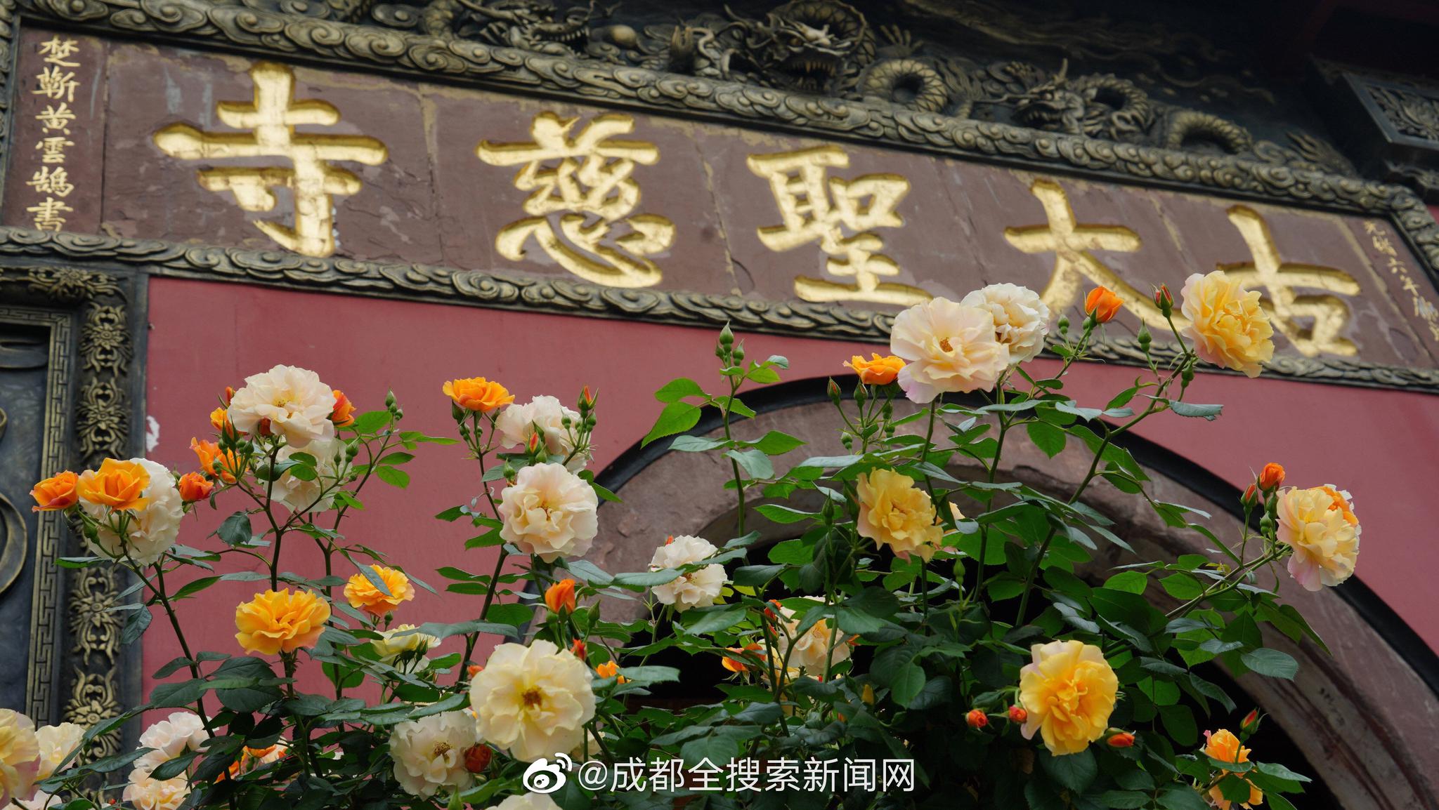 现在广州哪里还有快餐 _ 节能篇章,现在广州哪里有那种快餐