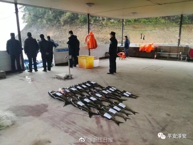 东郊到家498加钟是黄吗,东郊到家到底涉黄不