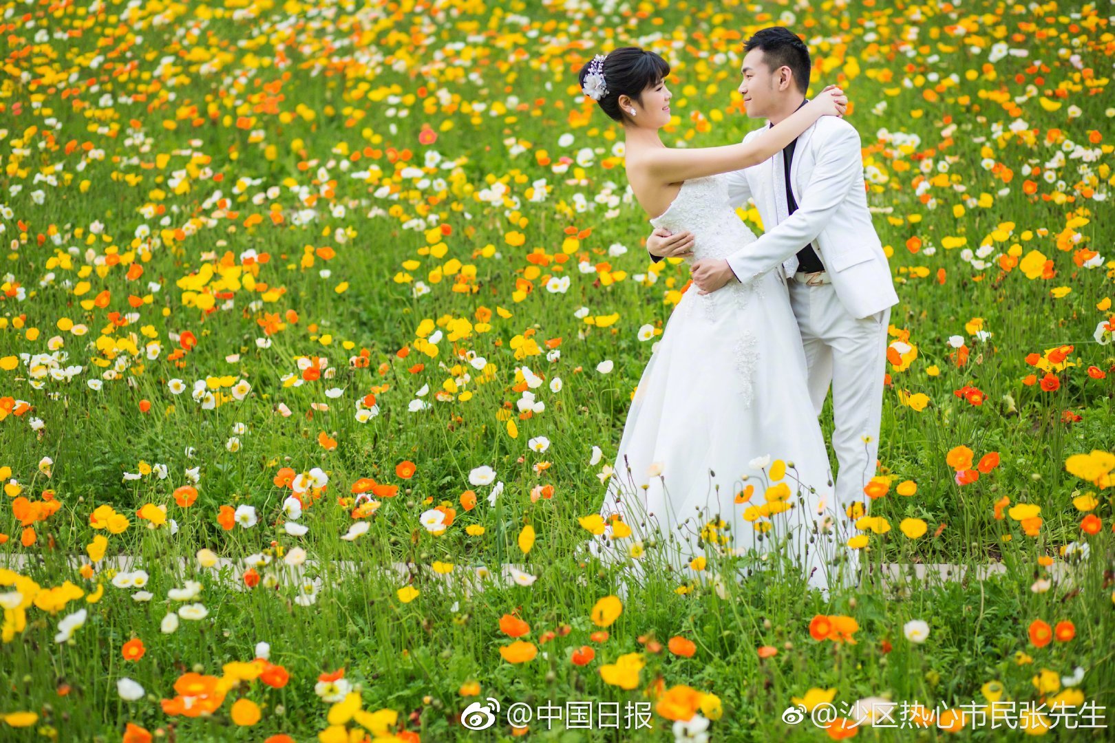 小圈sp有什么软件?这5款神器新手必看!,sp小圈文化常用软件