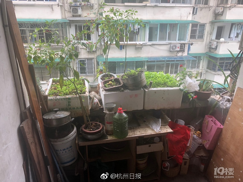 外卖平台外媛女生存指南,外卖员平台