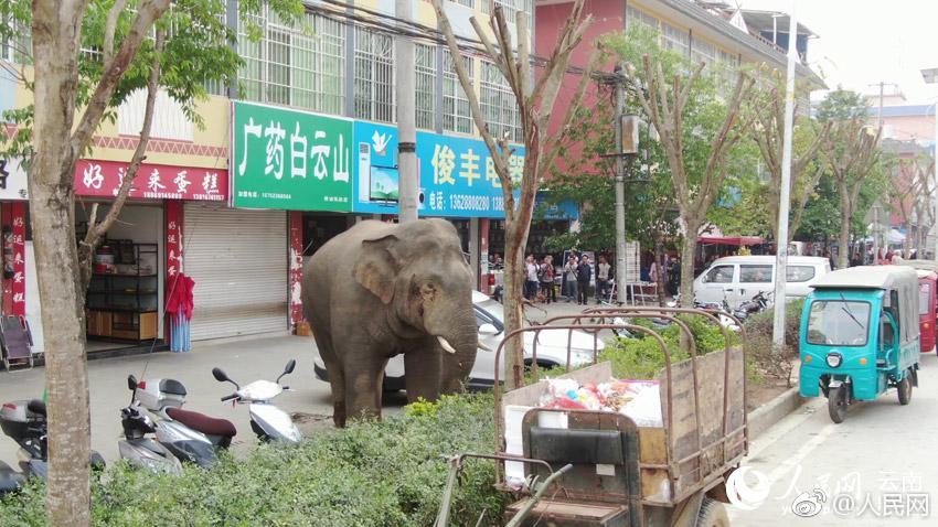 300元四小时服务人到付款 _ 轻工业,400块钱一小时服务