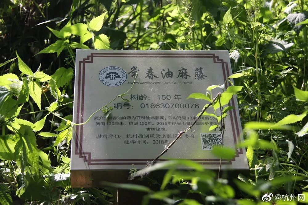 广州蒲典网桑拿|新手避坑指南➕亲测推荐清单