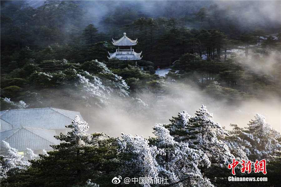 沧州小王庄胡同里面哪个最值得逛?老司机带你挖宝不踩坑,河北沧州市小王庄镇属于哪个县
