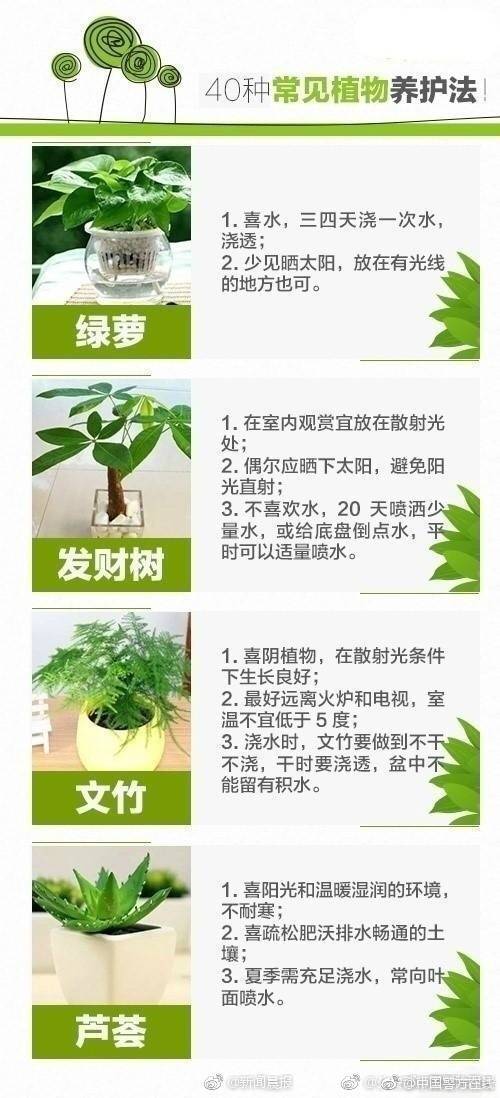 洛阳晚上能玩的地方 _ 免费广场舞,洛阳晚上可以玩的地方
