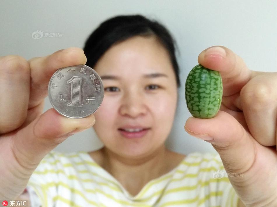 出差外地怎么找妹子 _ 拙政园图片
