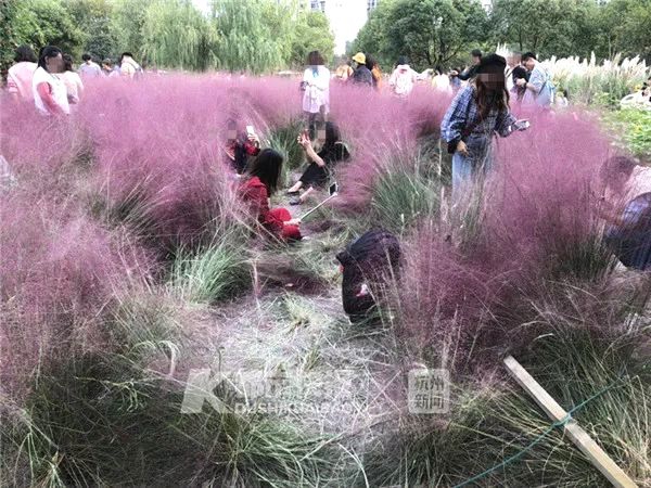 150连做带吹全攻略
