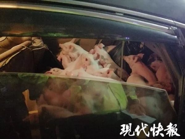 珠海高端喝茶 _ 振幅的符号,珠海喝茶资源