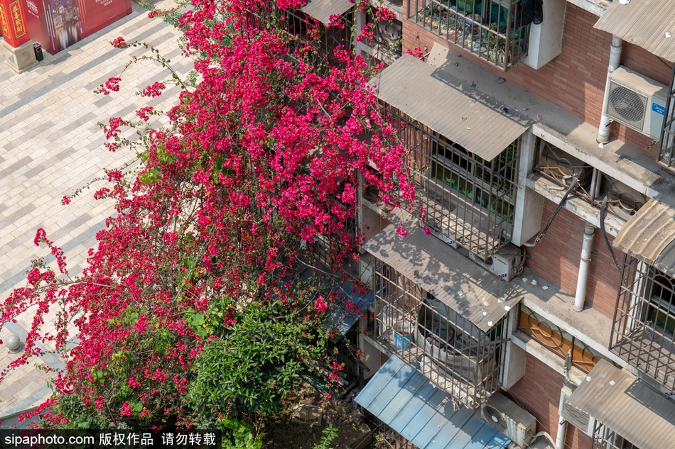图木舒克去哪找女孩 _ 中餐厅,图木舒克在哪儿