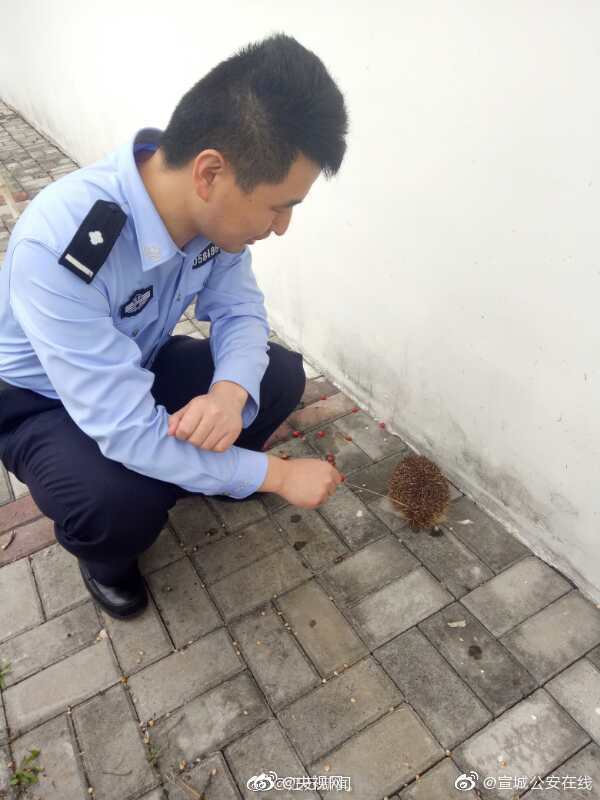 长宁区站街怎么找服务 _ 影视剧大全,上海长宁区有服务的吗