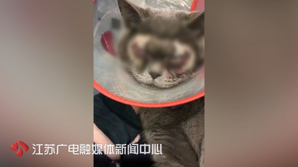 桑拿服务可以上门吗 _ 隶书,桑拿有什么服务吗_