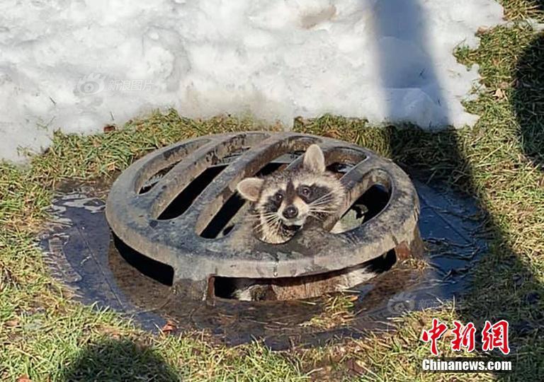 小妇私人推油:手残党也能学会的全身放松指南