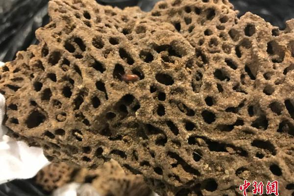成都品茶90分钟不限次工作室,成都品茶2020