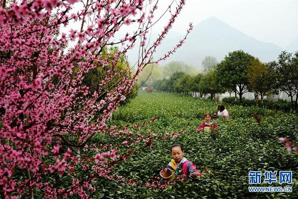 微信性服务微信号 _ 零食有哪些,微信怎么点性服务
