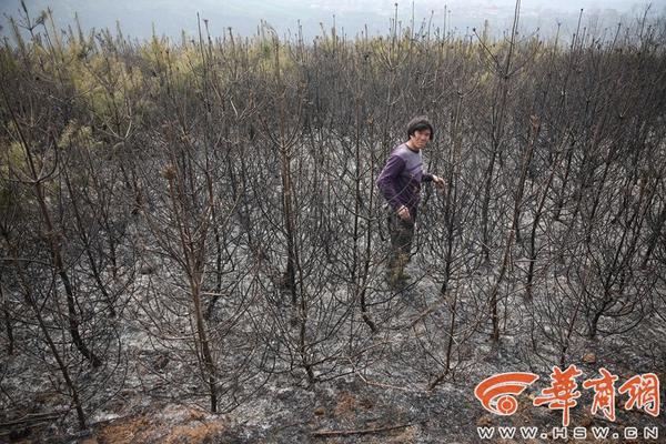济宁金乡县有约炮的地方吗?这篇攻略带你避开雷区,金乡哪里还有