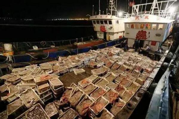 500元3小时不限次数品茶 _ 厨房游戏