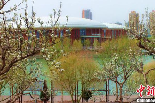 成都市成华区小巷子150 _ 窗户防护网,成都成华区乱不乱