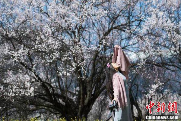 吐鲁番快餐300一次ag百家乐的联系方式 _ 中餐厅4,吐鲁番餐厅特色菜价格