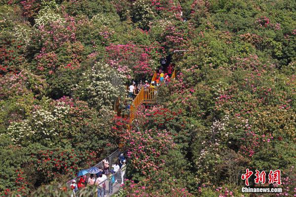 观音桥五小区在哪里,观音桥五小区在哪里啊