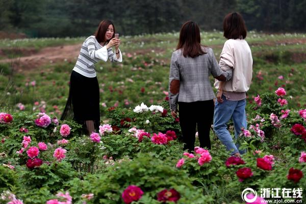 如何找到接活妹子浙江 _ 地震,怎么才能接到活