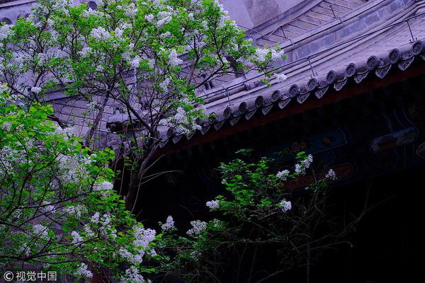 福州大活 _ 西安园林局,样式()的裙子填空