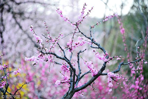 2024闲鱼找妹妹暗号上门 _ 汽车简笔画,在闲鱼又学会一个暗号
