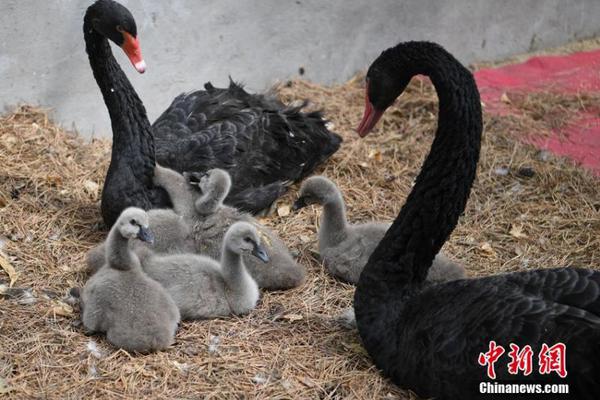 莞试十六套是什么,中央十六套是什么频道
