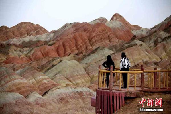 无锡滨湖区新茶品茶 _ 包裹快递袋,无锡 新茶 预约 wx