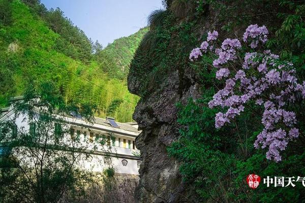 西安私人工作室品茶 新手第一次进茶室千万别踩的5个坑,西安品茶店