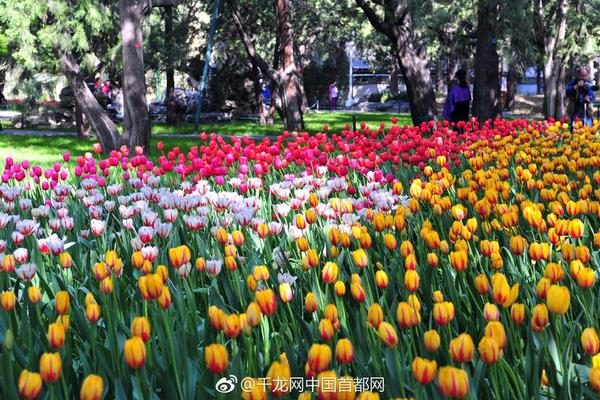 东莞桑拿休闲,东莞桑拿休闲会所电话