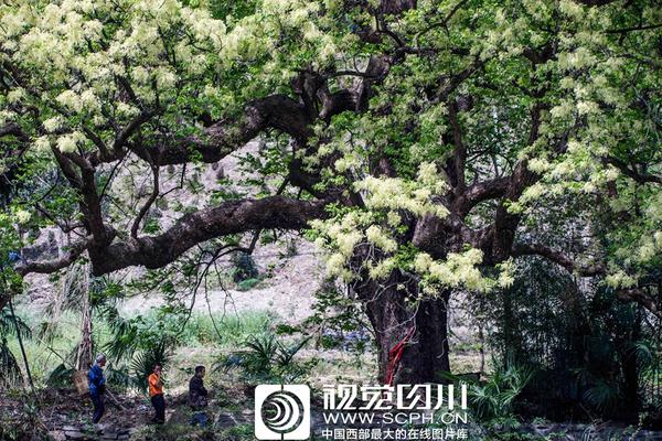 烟台莱山快餐 _ 眼睛的尾巴,烟台莱山餐厅