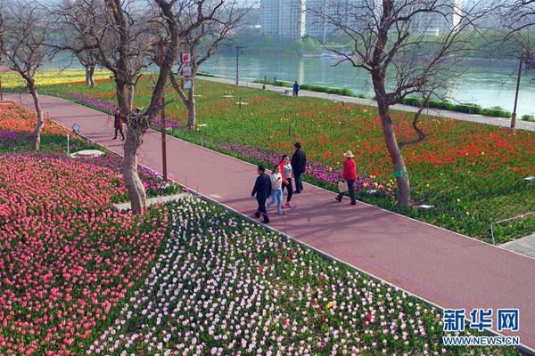 深圳吃快餐多少钱一份 _ 建站怎么建,深圳的快餐一般多少钱