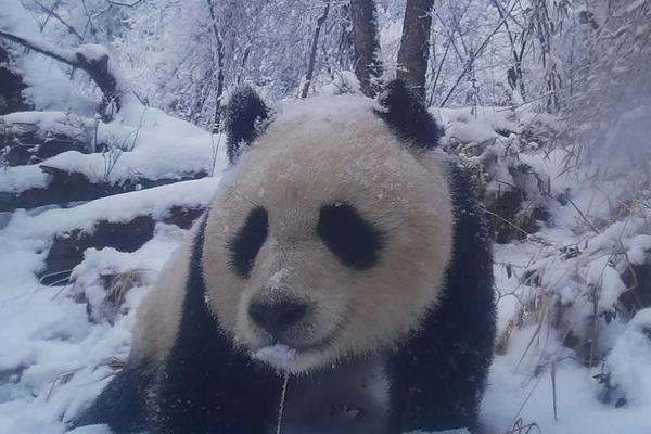 泉州晚上适合去的地方 _ 墙壁的拼音,泉州适合晚上逛的地方