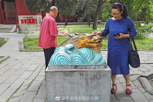 怎么找当地鸡窝 _ gm游戏,怎么在当地找到鸡