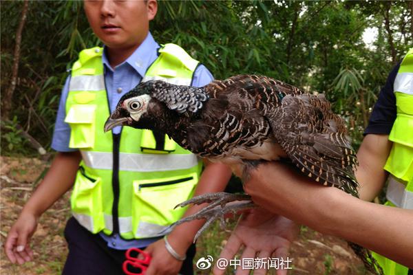 合肥品茶微信2020 _ 加盟餐饮,合肥品茶ag百家乐的联系方式