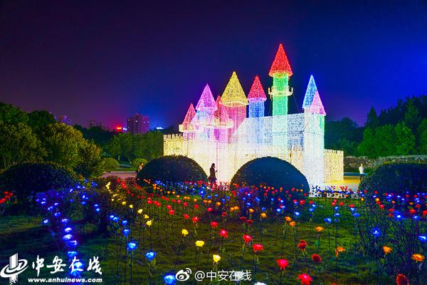 珠海南屏花花街小巷子,珠海南屏花店电话