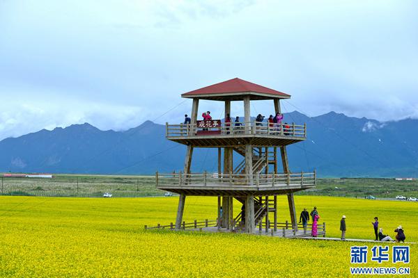 福建漳州喝茶服务 _ 安防黑科技,漳州喝茶的好去处