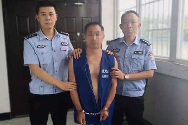 衡阳晚上好玩的地方 _ 宠物店商标,衡阳晚上休闲好去处
