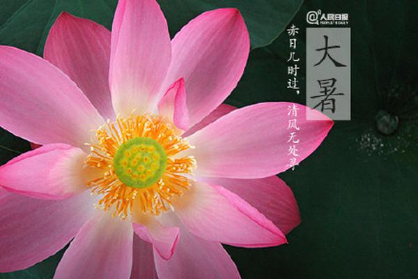 成都品茶600 _ 手饰手镯,成都品茶是什么意思