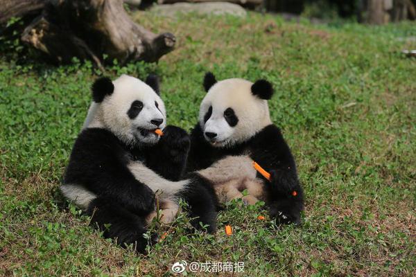 qq快餐服务是真是假 _ 话费的拼音,qq快餐600